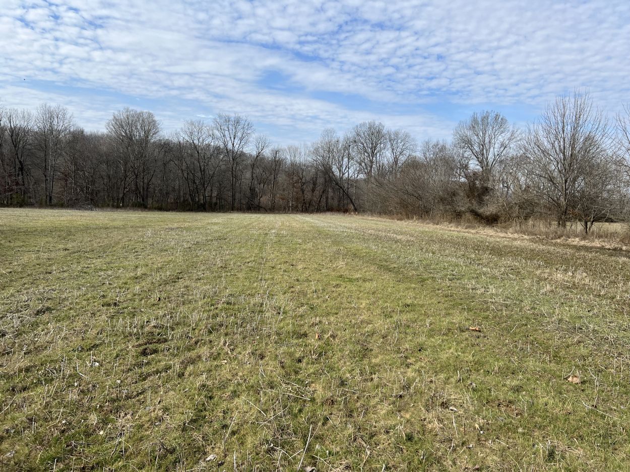 Alcorn Realty Lists County road 733/711, Zalma, MO 63787 -- $481,500